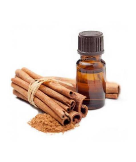 Ceylon Cinnamon Bark Oil
